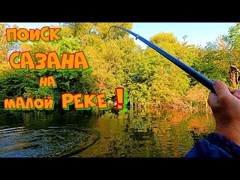 Видео: Рыбалка с БОКОВЫМ КИВКОМ на малой РЕЧКЕ ! Ловля КАРПА и ЛИНЯ по РОЙКАМ .