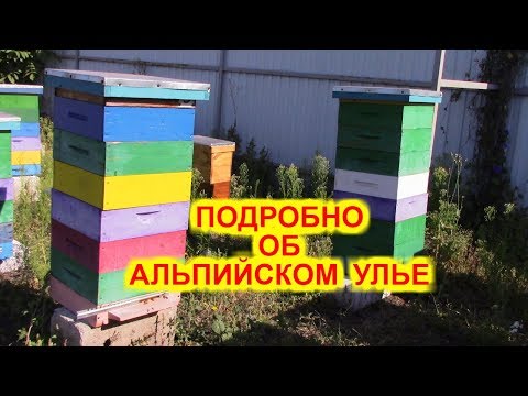 Видео: ПОДРОБНО ОБ #АЛЬПИЙСКИХ УЛЬЯХ