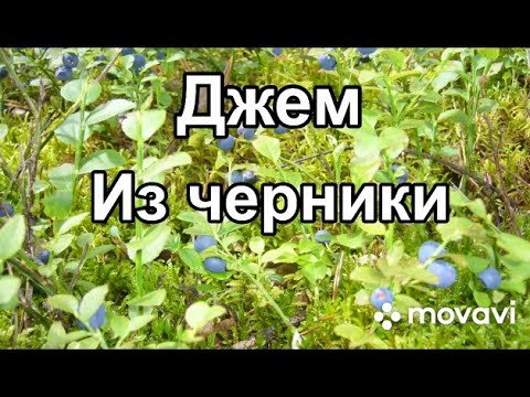 Видео: ‼️ДЖЕМ ИЗ ЧЕРНИКИ🫐🤤👍САМЫЙ ПРОСТОЙ СПОСОБ ПРИГОТОВЛЕНИЯ ДЖЕМА😋👍‼️