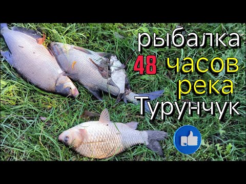 Видео: рыбалка 48 часов .река Турунчук .отдых с семьей  .рыбалка на реке  Турунчук..