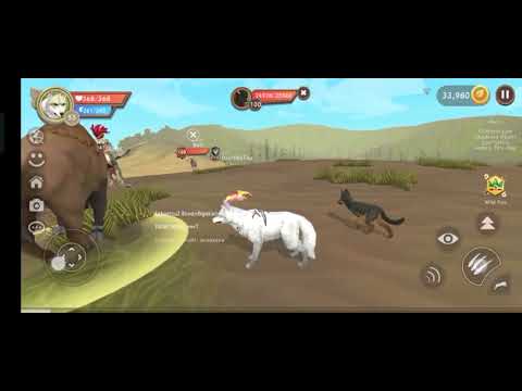 Видео: Wildcraft, игра на арене, необычная встреча 😎 @amikushka 