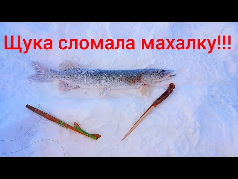 Видео: Щука сломала махалку!!! Зимняя рыбалка на Амуре