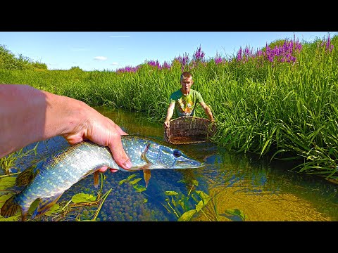 Видео: Рыбалка необычным способом! КУЧА КРУПНОЙ РЫБЫ! Подводная съёмка рыбалки!