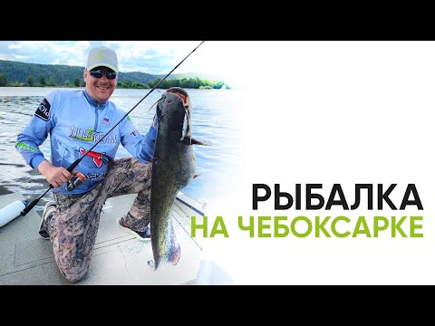 Видео: ЭТА ПОКЛЁВКА ЗАПОМНИТСЯ НАДОЛГО! Рыбалка на Чебоксарском водохранилище на воблеры и джиг