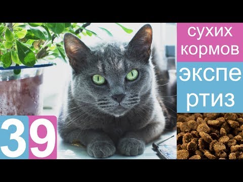 Видео: Экспертиза 39 сухих кормов - состав, качество и безопасность | Энциклопедия UA DOG