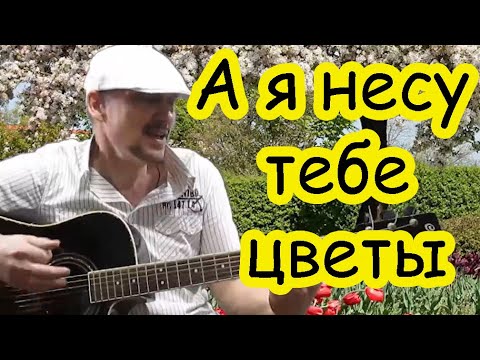Видео: КРАСИВАЯ ПЕСНЯ  под гитару А Я НЕСУ ТЕБЕ ЦВЕТЫ