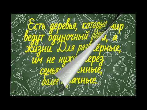 Видео: Перлы из школьных сочинений. Сборник №15