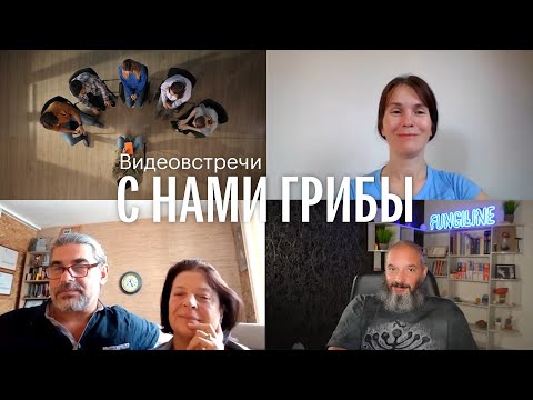 Видео: С нами грибы. Проводничество. Александр Мельников, Ольга Лой, Елена Александрова, Михаил Вишневский