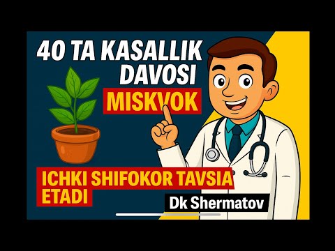 Видео: 40 ТА КАСАЛЛИК ДАВОСИ - МИСКВОЕ. ИЧКИ ШИФОКОР ТАВСИЯ ЭТАДИ. Dk_Shermatov efirda!