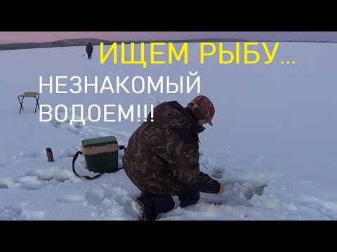 Видео: Как зимой найти рыбу на незнакомом водоеме? Как рыбачить на новом месте?