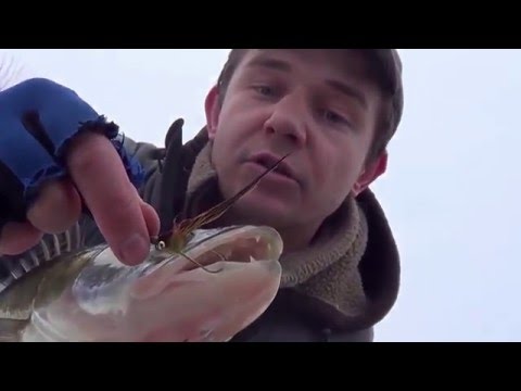 Видео: двуручник и скагит в средней полосе