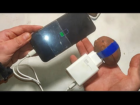 Видео: Экологичная энергия своими руками — тестируем картофель