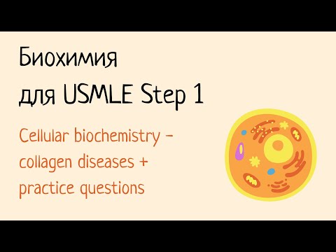 Видео: Биохимия для USMLE Step 1 - Клеточная биология (часть 2)