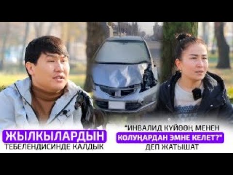 Видео: Жылкылардын ээси же айдоочубу, ким күнөөлүү?