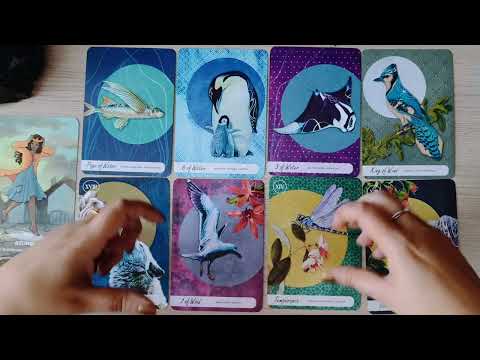 Видео: **Выберите карту** Что они думают о вас ПРЯМО СЕЙЧАС 💖 #люблючитать