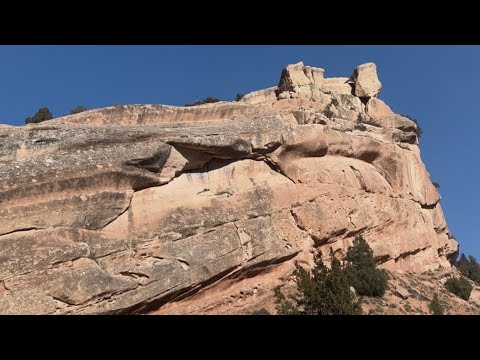 Видео: Кооз тоолор #Кожо#келен