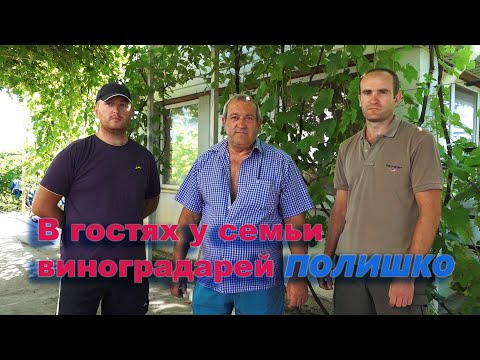 Видео: В гостях у семьи виноградарей Полишко. г. ДНЕПР.