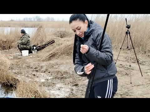 Видео: ВОТ ЭТО РЫБАЛКА!ТОННЫ ТАРАНИ В НЕБОЛЬШОЙ ЗАВОДИ!НАЛОВИЛИ САЗАНЧИКОВ.