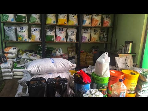 Видео: ШОКИРУЮЩАЯ ПРАВДА О КОМПЛЕКСНЫХ УДОБРЕНИЯХ. Там не все так просто❗️ПРО ЭТО НИКТО НЕ РАССКАЗЫВАЕТ🔒🔑🔓