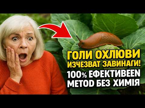 Видео: Голи охлюви изчезват завинаги! 100% ефективен метод без химия, за който градинарите мълчат.