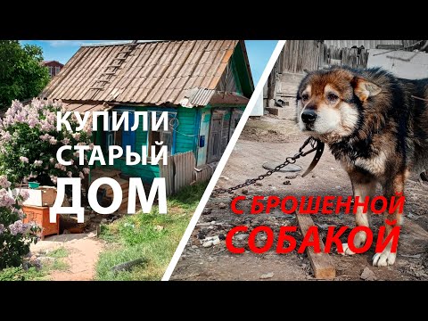 Видео: Купили Старый Дом | С БРОШЕННОЙ СОБАКОЙ И СЛОЖНЫМ УЧАСТКОМ | 1 часть