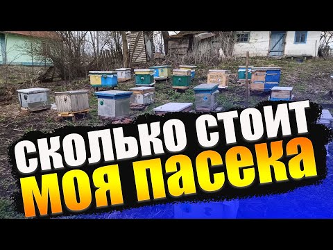 Видео: Насколько выгодно содержать пчел.