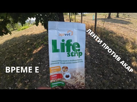 Видео: ЛЕНТИ ПРОТИВ АКАР