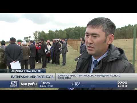 Видео: Сельчане в Акмолинской области возмущены строительством базы