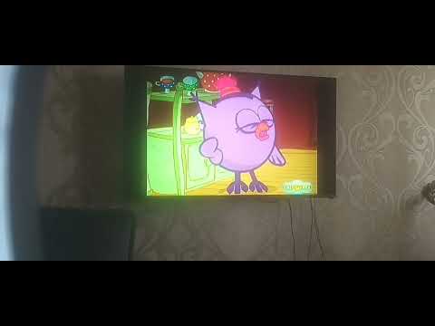 Видео: Обзор диска Смешарики выпуск 19 "Индийский чай".