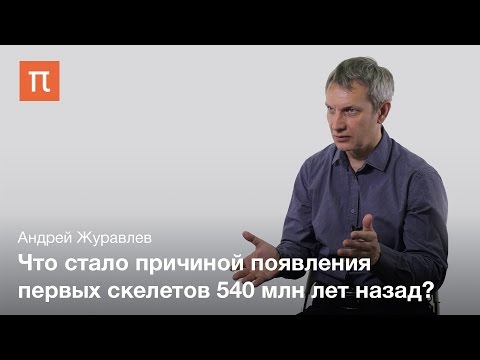 Видео: Появление первых скелетов — Андрей Журавлев