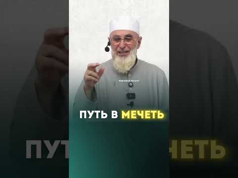 Видео: 7 ноября 2025 г.