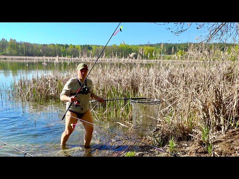 Видео: Риба затягла мене в воду! Карасі клюють тільки успівай закидать! Рибалка на кормачки!