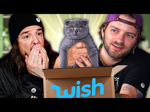 Видео: распаковка мелких и хрупких вещей, купленных онлайн