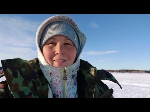 Видео: На рыбалку в ПОНЕДЕЛЬНИК.. все за зубарем.