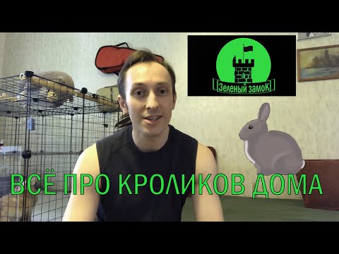 Видео: № 3.  Как ухаживать за кроликом в квартире.