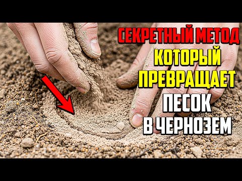 Видео: Как Превратить Песок В Чернозем: Метод, Который Работает На 100%