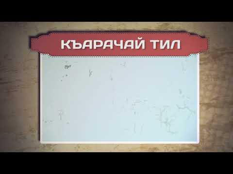 Видео: Разговорник (карачаевский язык) (02.03.2023)