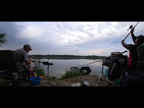 Видео: #рыбалкафидер#   Ловля леща на фидер в конце лета. Рыбалка в Августе 2022