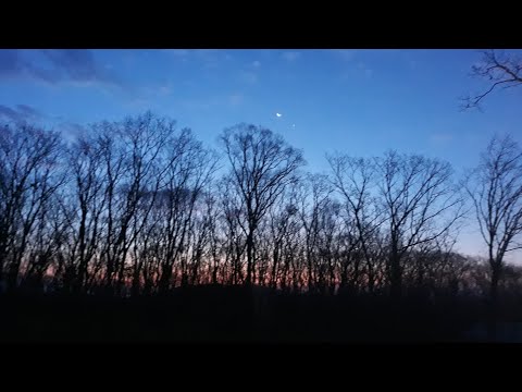 Видео: ИНСУЛИН И РАССВЕТ, а так же, что готовлю всем👩‍🍳