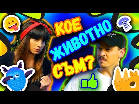 Видео: 🙉 Какво животно съм? CHALLENGE 🐼 | Studio Queen's №37