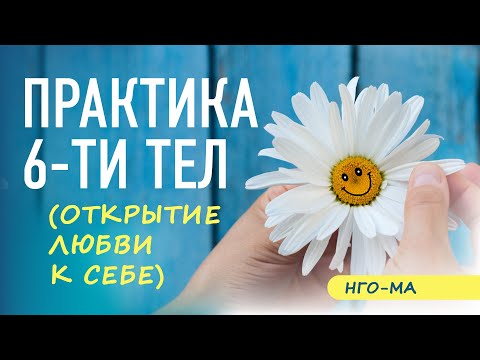 Видео: Практика 6-ти тел (открытие Самости)