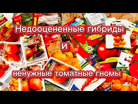Видео: Томатные гибриды недооценила, а с гномами наигралась.🤷‍♀️ Болталка.🙂