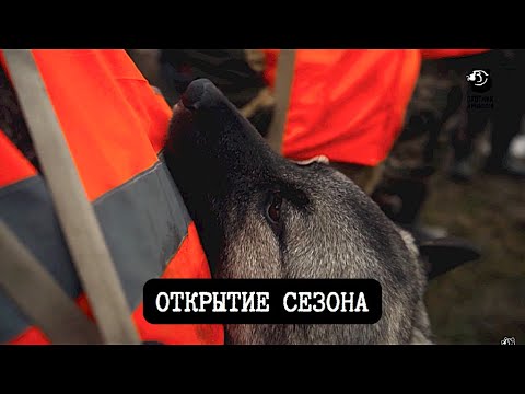 Видео: Открытие сезона // Спутники охотника // Серия 5