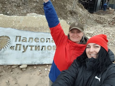 Видео: Трилобиты с берегов р. Волхов и Палеопарка Путилово