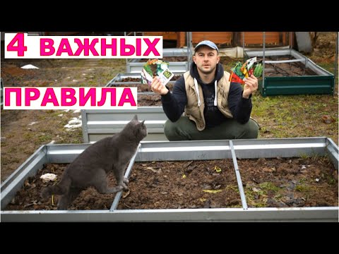 Видео: Что и после чего можно сажать на огороде в открытом грунте? Севооборот по правилам.