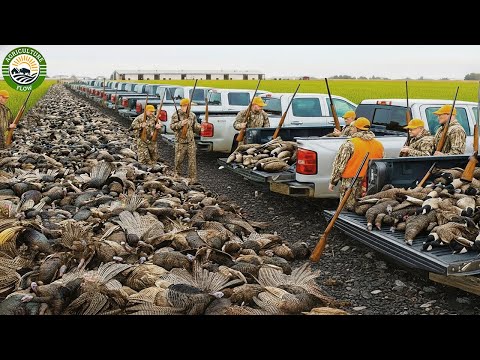 Видео: Шокирует! Как американские охотники застрелили 1319 диких птиц всего за 45 минут | Рекордная охота