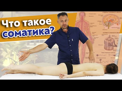 Видео: Соматические упражнения вместе с пациентом / Как работает соматика?
