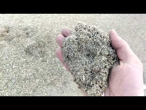 Видео: ИЗМЕЛЬЧИТЕЛЬ СЕНА на 5.5 кВт  220В  в работе