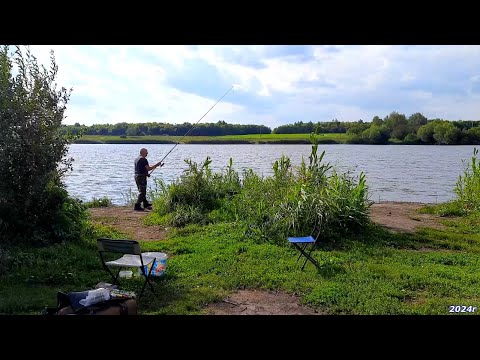 Видео: Пруд Щучий. Рыбалка (платно) Хутор Ступишино. Неверкинский район. Пензенская область.