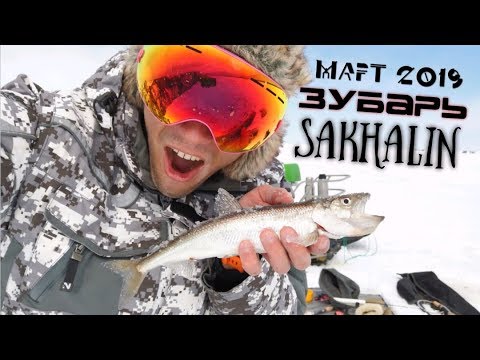 Видео: Рыбалка на корюшку!  Подледная рыбалка, Март 2019